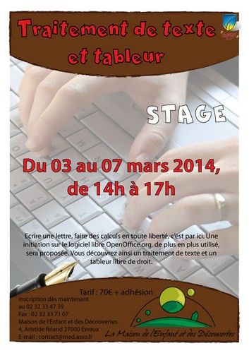 Affiche Stage Traitement de texte - tableur 2013