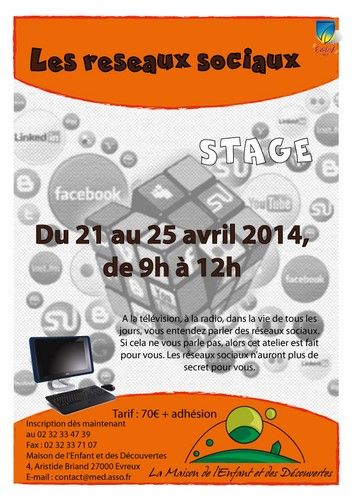 Affiche Stage Réseaux sociaux 2013